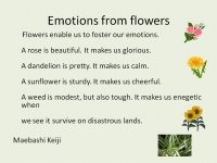 Emotions from flowers